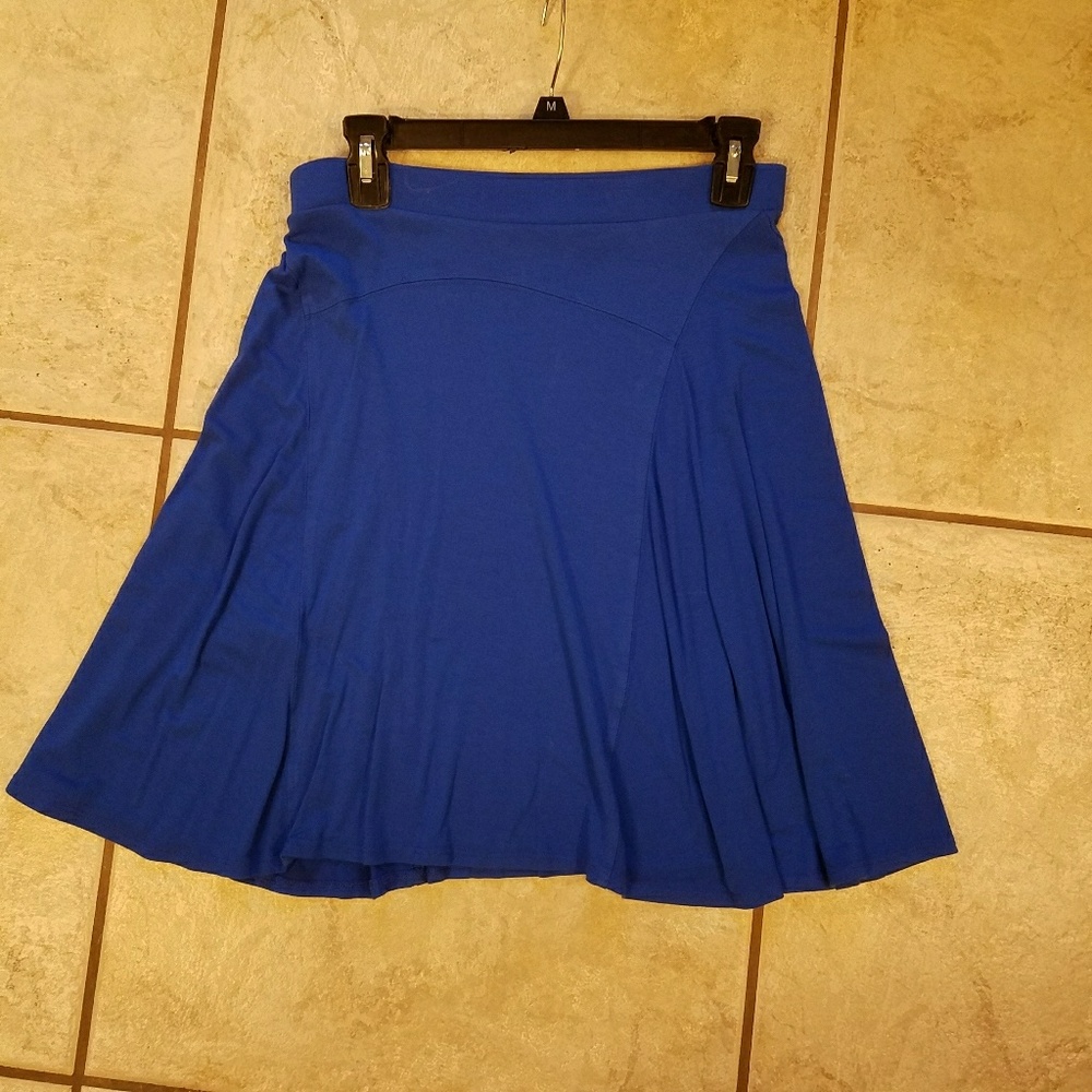 Knee length cobalt skirt
